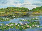 21 IR Jezioro z liliami